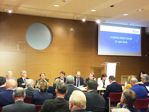 COMITE DIRECTEUR AMF