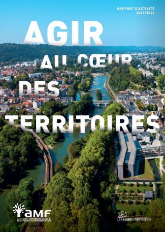 rapport activité AMF