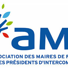 Logo_AMF_web