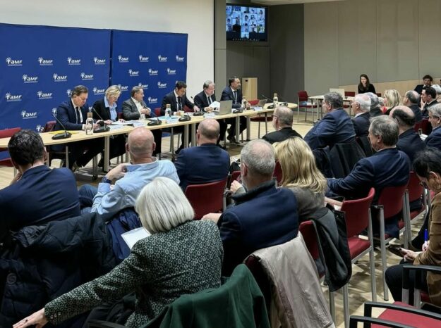 comité directeur amf