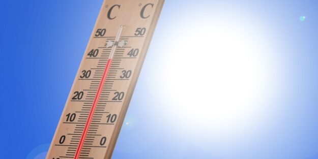 canicule chaleur
